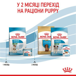 Сухий корм для цуценят мініатюрних порід Royal Canin Mini Starter 8 кг - домашня птиця
