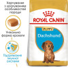 Сухий корм для цуценят породи такса Royal Canin Dachshund Puppy 1,5 кг - домашня птиця