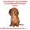 Сухий корм для цуценят породи такса Royal Canin Dachshund Puppy 1,5 кг - домашня птиця