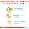 Сухий корм для цуценят породи такса Royal Canin Dachshund Puppy 1,5 кг - домашня птиця