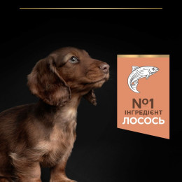 Сухий корм для цуценят Pro Plan Small and Mini Puppy Sensitive Skin 3 кг - лосось