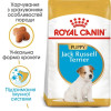 Сухий корм для цуценят Royal Canin Jack Russel Puppy 1,5 кг - домашня птиця