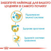 Сухий корм для цуценят Royal Canin Jack Russel Puppy 1,5 кг - домашня птиця