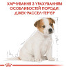 Сухий корм для цуценят Royal Canin Jack Russel Puppy 1,5 кг - домашня птиця