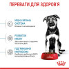 Сухий корм для цуценят Royal Canin Maxi Puppy 4 кг - домашня птиця