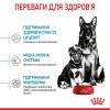Сухий корм для цуценят Royal Canin Maxi Starter 4 кг - домашня птиця