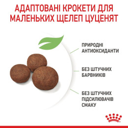 Сухий корм для цуценят середніх порід Royal Canin Medium Puppy 4 кг - домашня птиця