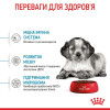 Сухий корм для цуценят Royal Canin Medium Puppy 12+3 кг - домашня птиця