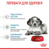 Сухий корм для цуценят середніх порід Royal Canin Medium Puppy 15 кг - домашня птиця