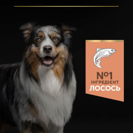 Сухий корм для цуценят Pro Plan Puppy Medium Sensitive Skin, 12 кг - лосось