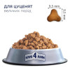 Сухий корм для цуценят великих порід Club 4 Paws Premium 2 кг (курка)