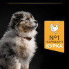Сухий корм для цуценят та молодих собак Pro Plan Puppy Medium 12 кг - курка