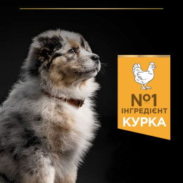Сухий корм для цуценят та молодих собак Pro Plan Puppy Medium 3 кг - курка
