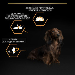 Сухий корм для дорослих собак дрібних порід Pro Plan Adult Small & Mini 3 кг - курка