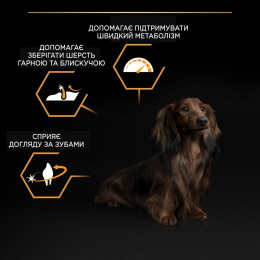 Сухий корм для дорослих собак дрібних порід Pro Plan Adult Small & Mini 3 кг - курка