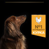 Сухий корм собак Pro Plan Adult Small & Mini 700 г - курка