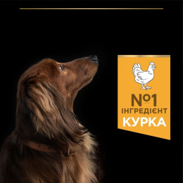 Сухий корм собак Pro Plan Adult Small & Mini 700 г - курка