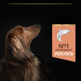 Сухий корм для собак Purina Pro Plan Small & Mini Sensitive 3 кг - лосось