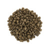 Сухий корм для собак Brit Care Grain Free Mini Adult 2 кг - ягня