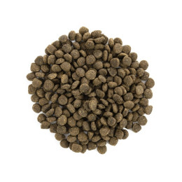 Сухий корм для собак Brit Care Grain Free Mini Adult 7 кг - ягня