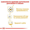 Сухий корм для дорослих собак породи чихуахуа Royal Canin Chihuahua Adult 1,5 кг - домашня птиця