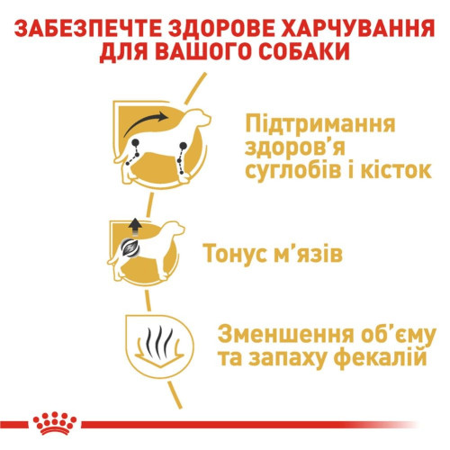 Сухий корм собак Royal Canin Dachshund Adult 1,5 кг - домашня птиця