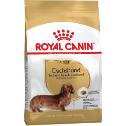 Сухий корм собак Royal Canin Dachshund Adult 1,5 кг - домашня птиця