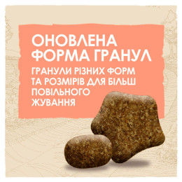 Сухий корм для активних собак всіх порід Dog Chow Active Chicken 14 кг (курка)