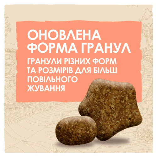 Сухий корм для активних собак всіх порід Dog Chow Active Chicken 14 кг (курка)