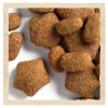 Сухий корм для активних собак всіх порід Dog Chow Active Chicken 14 кг (курка)