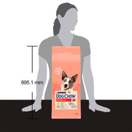 Сухий корм для активних собак всіх порід Dog Chow Active Chicken 14 кг (курка)