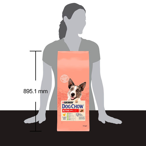 Сухий корм для активних собак всіх порід Dog Chow Active Chicken 14 кг (курка)