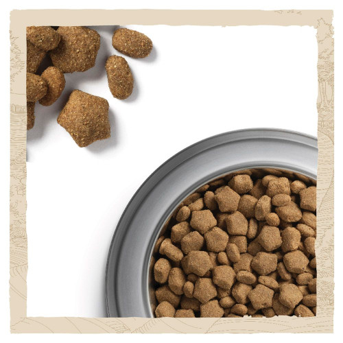 Сухий корм для активних собак всіх порід Dog Chow Active Chicken 14 кг (курка)