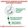 Сухий корм для літніх собак дрібних порід Royal Canin Mini Adult 8+, 2 кг - домашня птиця
