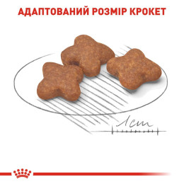 Сухий корм для літніх собак дрібних порід Royal Canin Mini Adult 8+, 2 кг - домашня птиця
