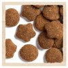 Сухий корм для цуценят та молодих собак великих порід Dog Chow Puppy Large Breed Turkey 14 кг (індичка)