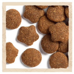 Сухий корм для цуценят та молодих собак великих порід Dog Chow Puppy Large Breed Turkey 14 кг (індичка)