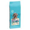Сухий корм для цуценят та молодих собак великих порід Dog Chow Puppy Large Breed Turkey 14 кг (індичка)