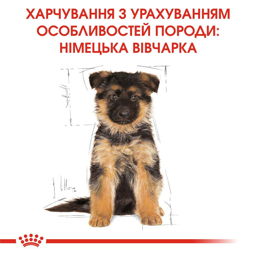 Сухий корм для цуценят породи німецька вівчарка Royal Canin German Shepherd Puppy 3 кг - домашня птиця