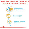 Сухий корм для цуценят Royal Canin Yorkshire Puppy 1,5 кг + 500 г - домашня птиця