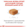 Сухий корм для цуценят Royal Canin Yorkshire Puppy 1,5 кг + 500 г - домашня птиця