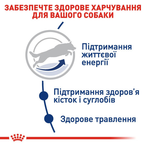 Сухий корм для собак Royal Canin Maxi Adult 5+, 15 кг - домашня птиця