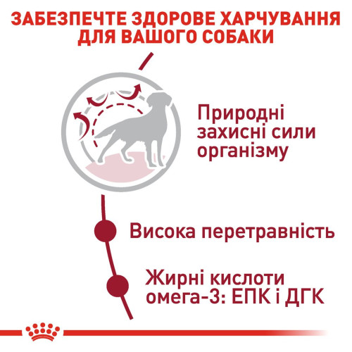 Сухий корм для собак Royal Canin Medium Adult 15 кг - домашня птиця