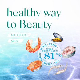Сухий корм для собак усіх порід Optimeal Beauty Podium Shiny Coat & Dental Care 4 кг (морепродукти)