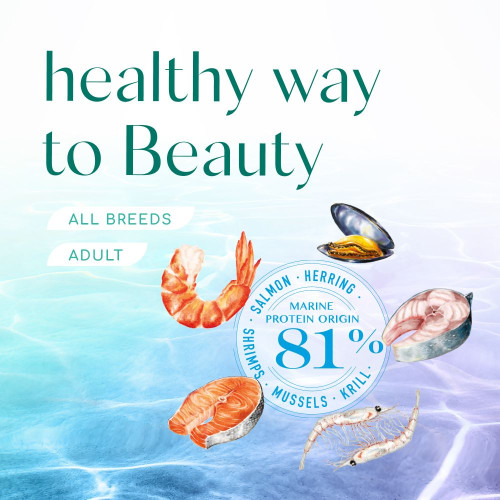 Сухий корм для собак усіх порід Optimeal Beauty Podium Shiny Coat & Dental Care 4 кг (морепродукти)