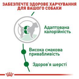 Сухий корм для дорослих собак дрібних порід Royal Canin Mini Adult 2 кг - домашня птиця