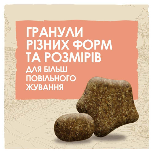 Сухий корм для дорослих собак із чутливим травленням Dog Chow Sensetive 14 кг (лосось)