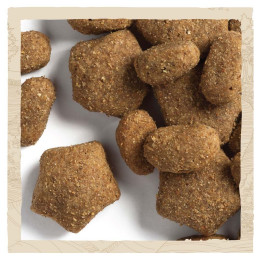 Сухий корм для дорослих собак із чутливим травленням Dog Chow Sensetive 14 кг (лосось)