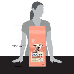 Сухий корм для дорослих собак із чутливим травленням Dog Chow Sensetive 14 кг (лосось)