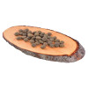 Сухий корм для дорослих собак усіх порід Carnilove True Fresh FISH for Adult dogs 11,4 кг (риба)